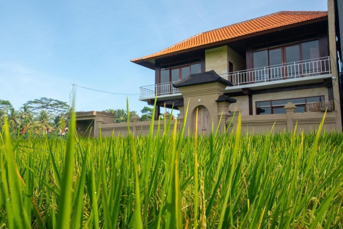 Ulun Desa #beautiful In Ricefield Area *