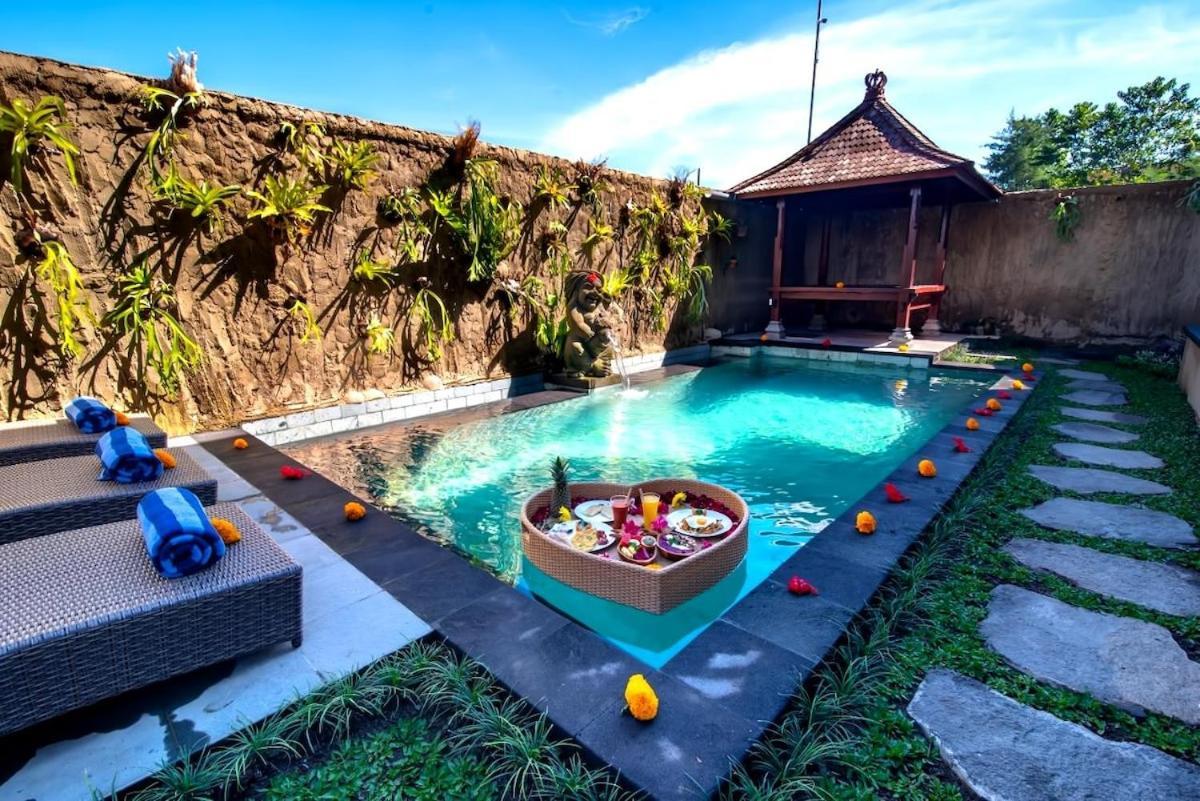 Ulun Desa #beautiful In Ricefield Area *